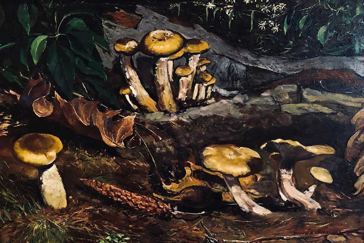 Johnathan Fairbanks 20th century