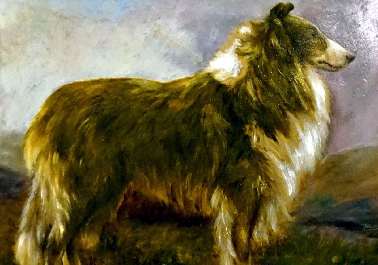 W. Johnston. Late 19th century