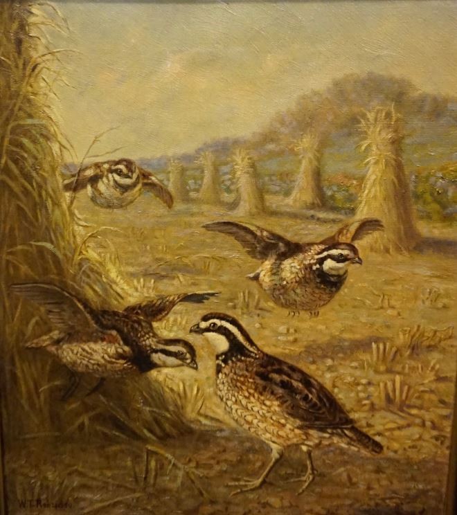 W.T. Robinson. 1852-1934