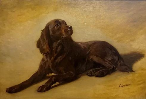Dog Portrait by C. Cunaus
